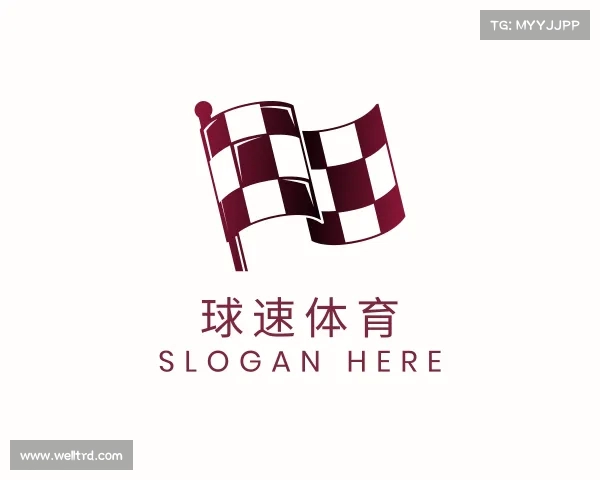了解球速体育